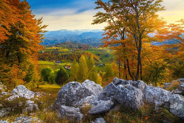 Vue Fantastique Endroit Magnifique Avec Forêt Caduque Colorée Beau Paysage — Photo