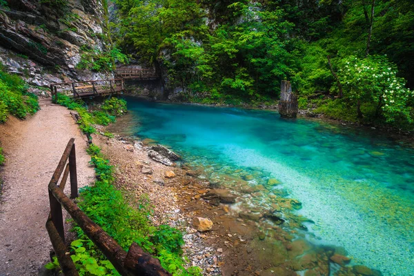 Bled近くの雄大な自然観光名所 木製の歩道橋と壮大なエメラルド色のラドヴナ川と美しいヴィンタール渓谷 近くに ゴージェ スロベニア ヨーロッパ — ストック写真