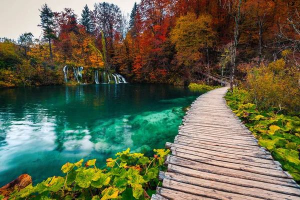 カラフルな落葉樹林の壮大な滝と美しい秋の風景 プリトヴィツェ国立公園 クロアチア ヨーロッパのターコイズブルーの湖にかかる木製の歩道橋 — ストック写真