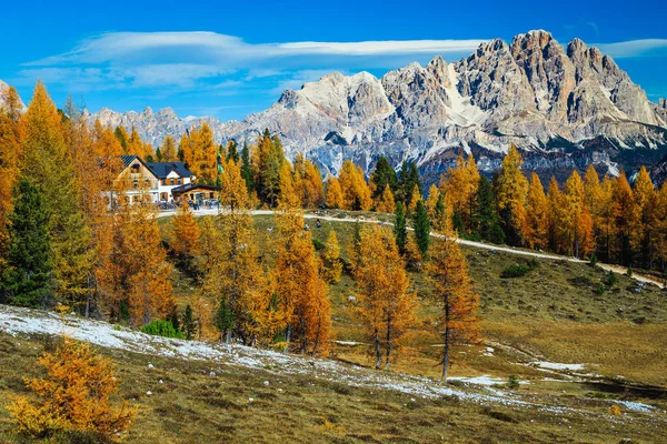 Cute Mountain Accommodation Place Wooden House Forest Beautiful Recreation Hiking — Stock Photo, Image