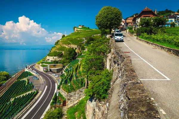 Belos Vinhedos Terraços Estrada Sinuosa Margem Lago Genebra Perto Lausanne — Fotografia de Stock