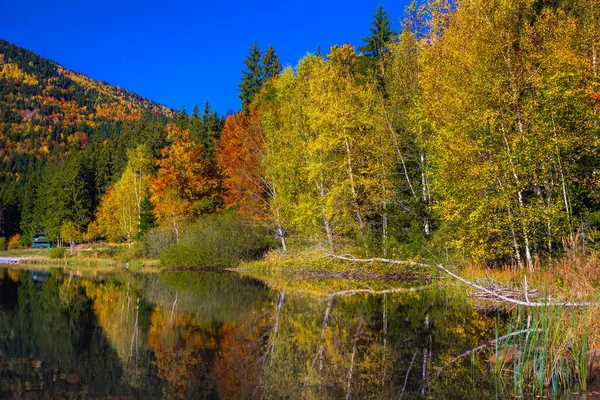 Vackert Höstlandskap Med Färgglada Lövträd Skogen Och Berömda Vulkaniska Sjön — Stockfoto