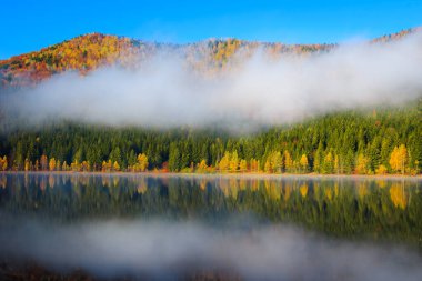 Ormanda renkli yaprak döken ağaçlar ve ünlü volkanik göl ile puslu sonbahar manzarası. Saint Ana Gölü, Transilvanya, Romanya ve Avrupa ile popüler turizm ve seyahat yerleri