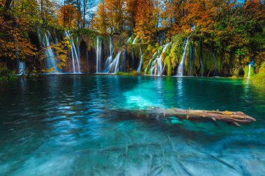 Sonbaharda ormanda renkli yaprak döken ağaçlar ve çarpıcı şelaleleri olan harika bir yer. Plitvice Ulusal Parkı, Hırvatistan ve Avrupa 'da pitoresk göller ve su kaynaklarıyla harika bir yürüyüş noktası