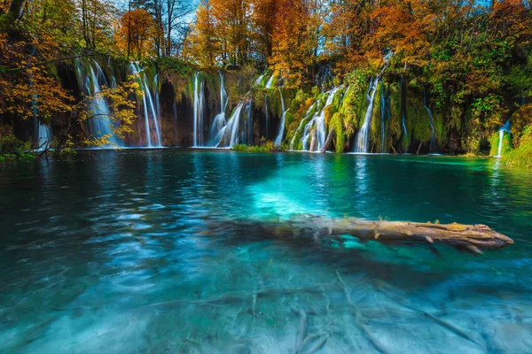 Endroit Fabuleux Avec Des Arbres Feuilles Caduques Colorés Superbes Cascades — Photo