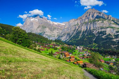 Yeşil tarlaları ve arka planında yüksek karlı dağları olan popüler yaz oteli, Grindelwald, Bernese Oberland, İsviçre, Avrupa