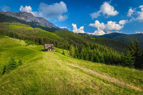 Letni Alpejski Krajobraz Górami Rozklekotaną Drewnianą Chatą Zielonych Łąkach Karpatach — Zdjęcie stockowe