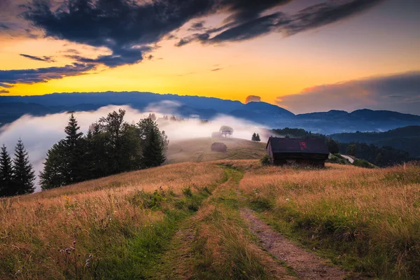 Paisagem Rural Incrível Outono Com Colinas Nebulosas Pôr Sol Transilvânia — Fotografia de Stock