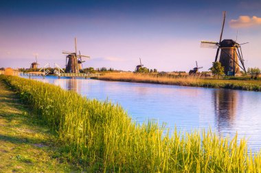 Kinderdijk Müzesi, UNESCO dünya mirası sahası, Hollanda, Avrupa 'daki su kanallarının kıyısındaki geleneksel kırsal yel değirmenleri
