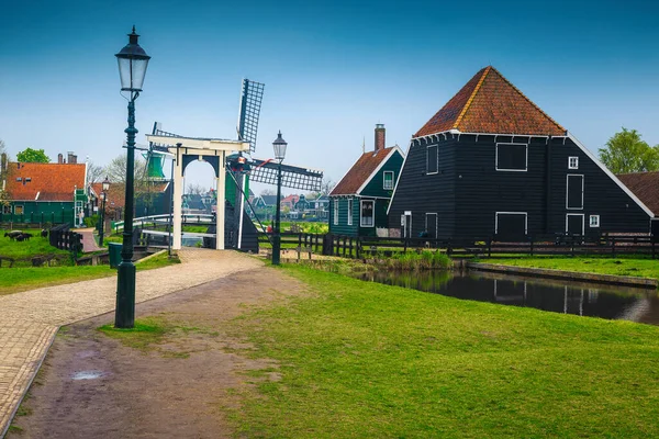 Captivating dutch countryside street with traditional wooden windmill and grazing sheeps in the garden, Zaanse Schans touristic village, Netherlands, Europe