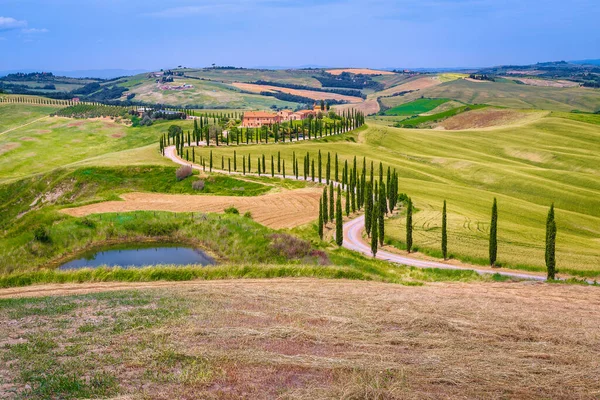 Fantastic Summer Rural Scenery Grain Fields Houses Hills Tuscany Italy — Stock Photo, Image