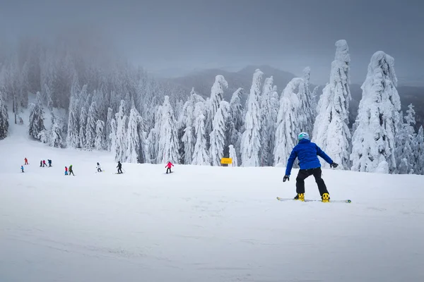 Vackra Snötäckta Träd Och Fantastisk Vinterskidort Aktiva Skidåkare Och Snowboardåkare — Stockfoto