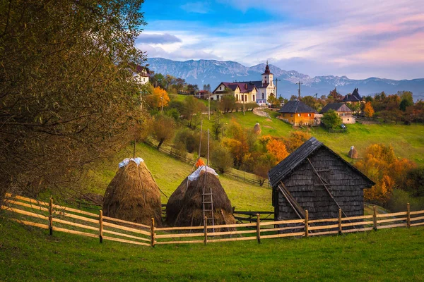 Beau Paysage Campagne Automne Arbres Feuilles Caduques Colorés Sur Les — Photo