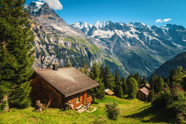 Drewniane Domy Polanie Lasu Wysokie Góry Śniegu Tle Murren Bernese — Zdjęcie stockowe