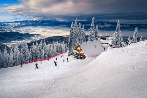 Superbes Lieux Loisirs Hiver Pistes Ski Avec Des Arbres Recouverts — Photo