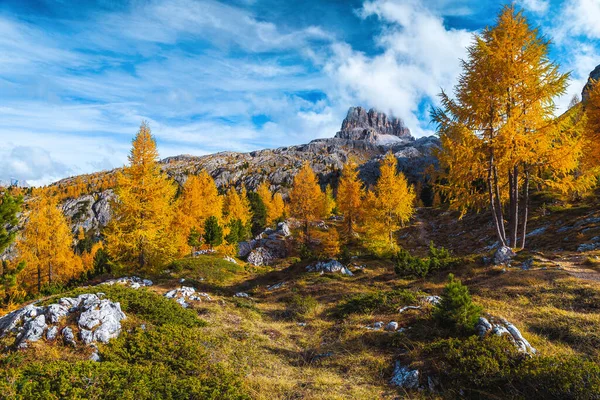 Beundransvärt Höst Alpint Landskap Med Färgglada Redwood Träd Och Steniga — Stockfoto