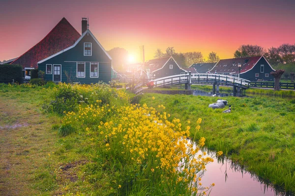 Prachtige Ochtend Landschap Met Traditionele Houten Huizen Het Zaanse Schans — Stockfoto