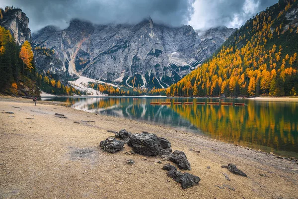 ドロミテで最も訪問された場所の一つ カラフルなカラフルなカラマツの森 レイクブレイズ ドロマイト イタリア ヨーロッパと素晴らしい秋の風景 — ストック写真