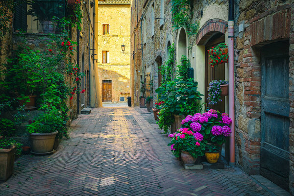 Stunning narrow paved street view with orderly old stone houses decorated with colorful flowers and green plants, Tuscany, Europe