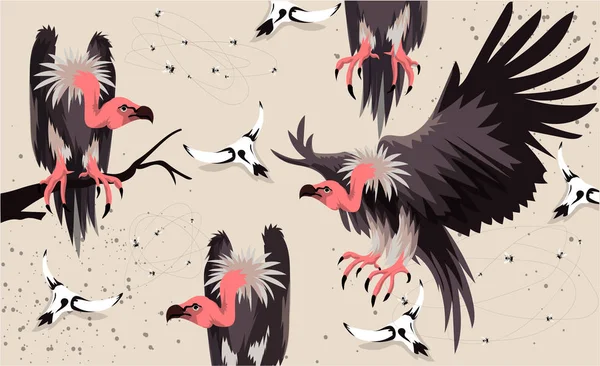 Vulture Vogel Afrikaanse Dierlijke Vector Illustratie Nieuwe Mode Zomer Verkoop — Stockvector