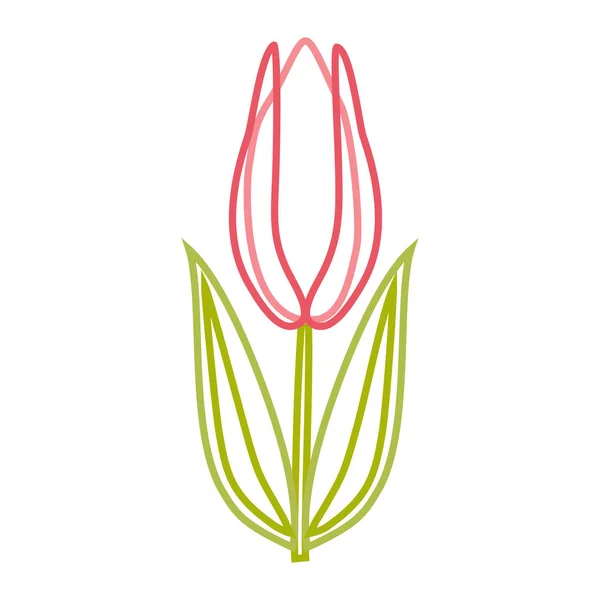 Patrón Tulipán Estilizado Color Lineal Icono Aislado Sobre Fondo Blanco — Vector de stock