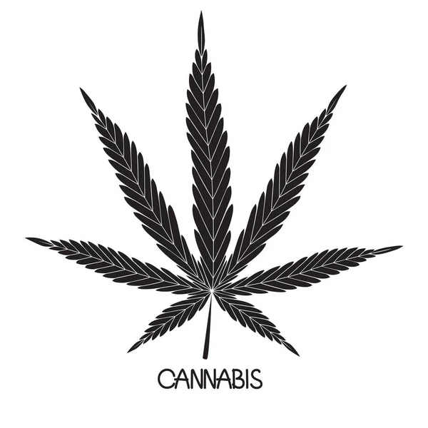 Foglia Cannabis Scritte Manuali Icona Isolata Logo Sfondo Bianco Silhouette — Vettoriale Stock