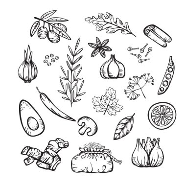Lezzetli yemekler için çeşitli baharatlar ve otlar. Çizgi film tarzında vektör doğrusal simgeleri kümesi. Beyaz arkaplanda el çizimleri izole.