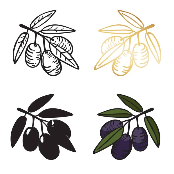 葉や果物とオリーブの枝 漫画風のベクトルハンド描画アイコンのセット 白を基調としたリニア シルエット カラーイラスト — ストックベクタ