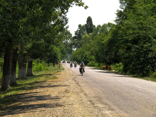 Viajeros Bicicleta Bosque — Foto de Stock