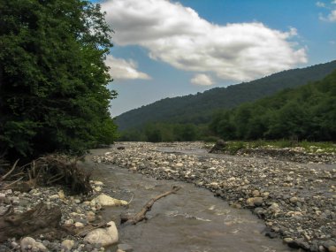 Ormandaki dağ nehri.