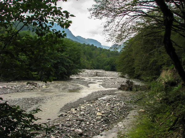 Górska Rzeka Lesie — Zdjęcie stockowe
