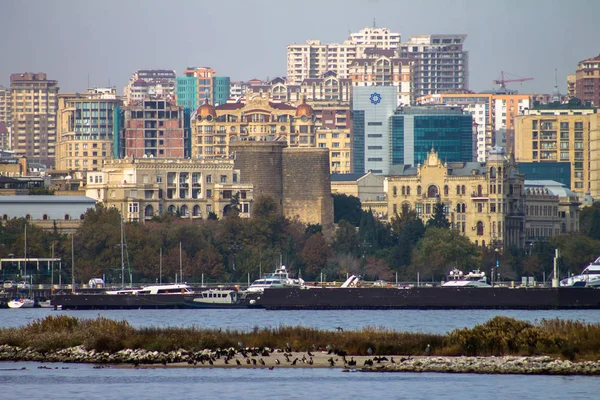 Island Birds Sea City — Stock Photo, Image