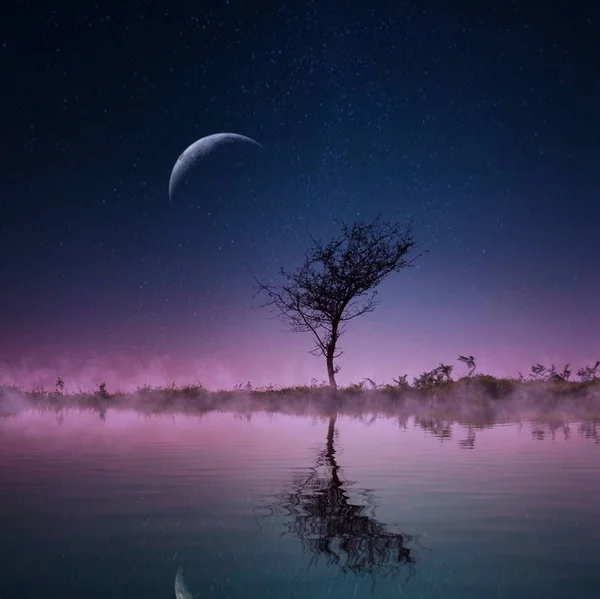 ağaç ile ay yalnız
