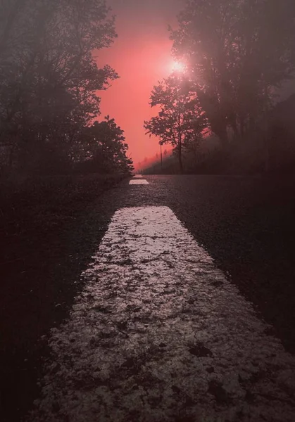 Jalan Dengan Pohon Merah Gunung — Stok Foto
