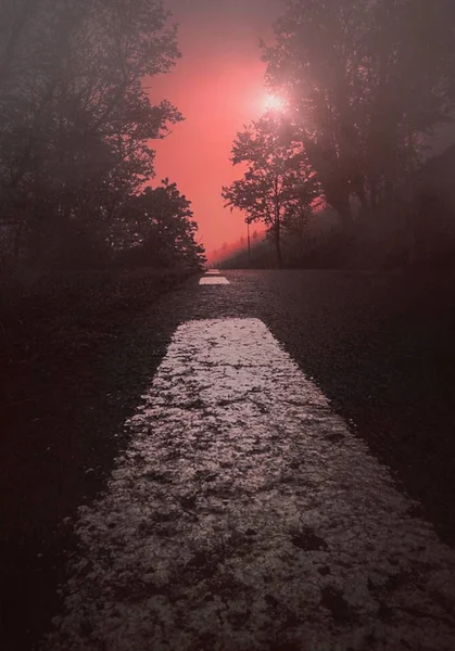 Camino Con Árboles Rojos Montaña — Foto de Stock