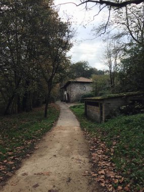 yolun yeşil ağaçlar ile