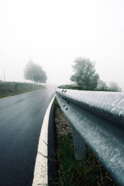 yolun yeşil ağaçlar ile