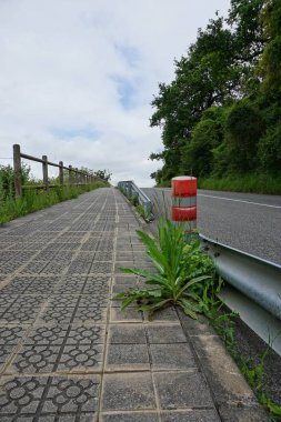 yolun yeşil ağaçlar ile