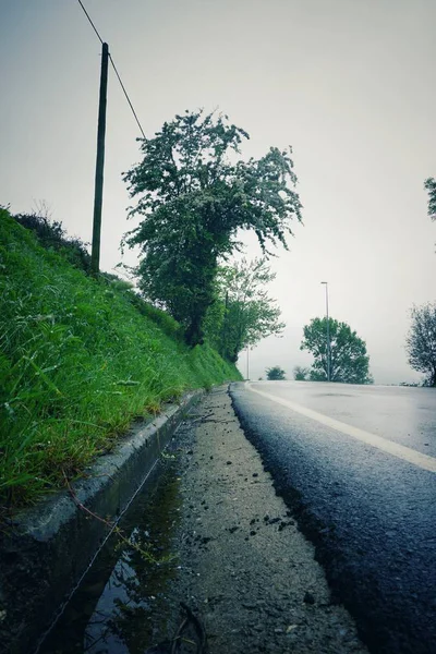 Strada Con Alberi Verdi — Foto Stock