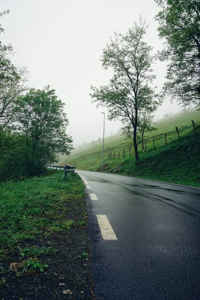 Estrada Com Árvores Verdes — Fotografia de Stock