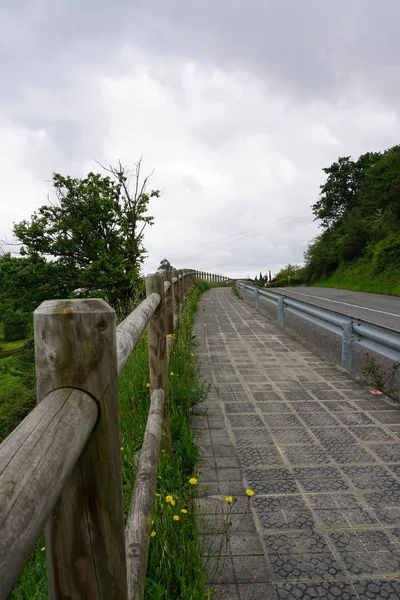 緑の木が付いている道 — ストック写真