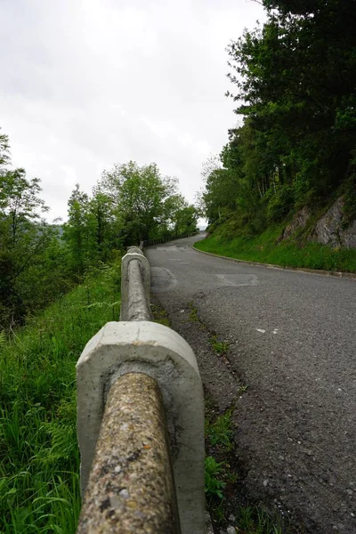 Weg Met Groene Bomen — Stockfoto