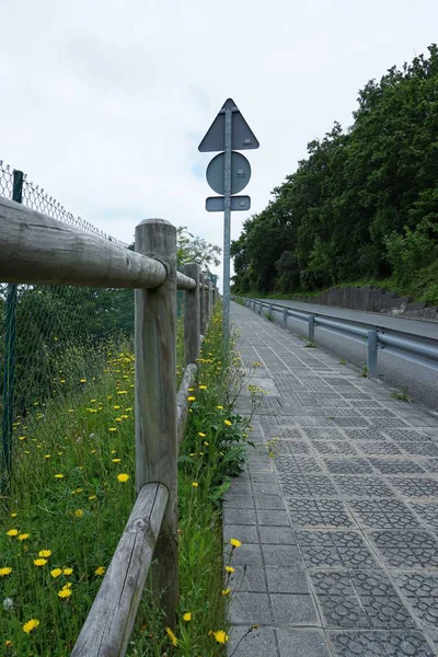 Weg Met Groene Bomen — Stockfoto