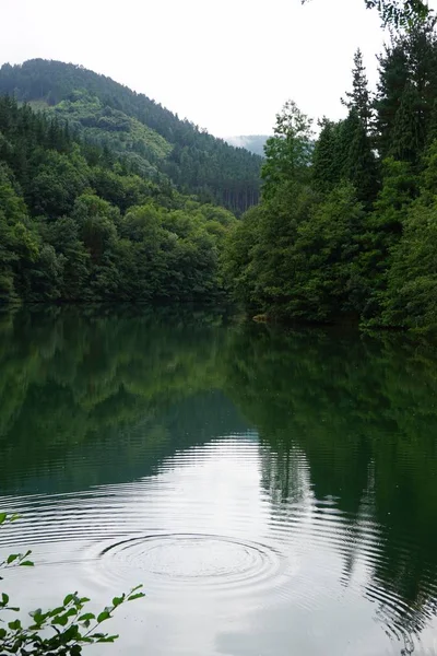 산에서 풍경에 — 스톡 사진