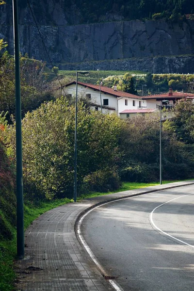 Estrada Com Árvores Verdes — Fotografia de Stock