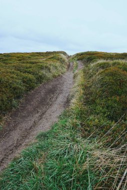 uçurum kıyılarında