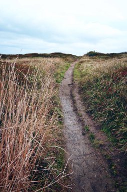 dağlarda ağaçlarda  