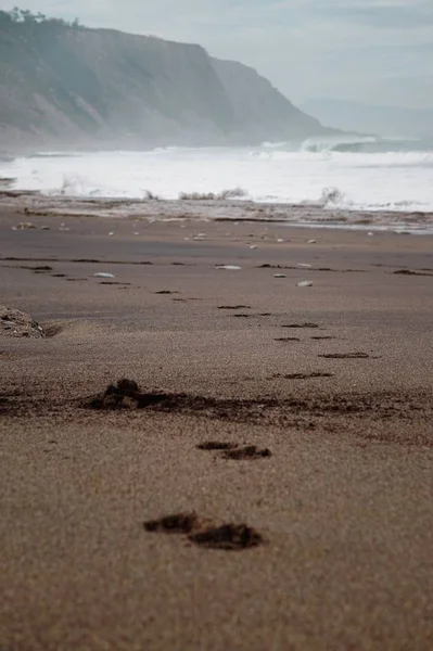 Het Strand Aan Kust — Stockfoto