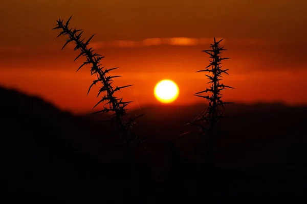 Puesta Sol Cielo — Foto de Stock