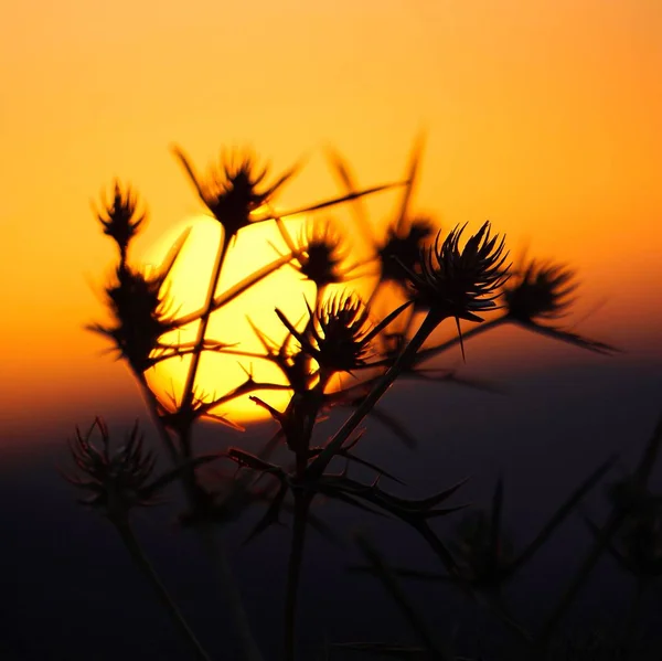 Zonsondergang Lucht — Stockfoto